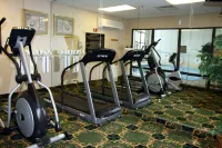 Hampton Inn Richmond-Mechanicsville - Gym