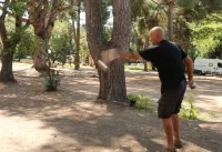 Camping Dolce Vita Hotels in Montegrosso