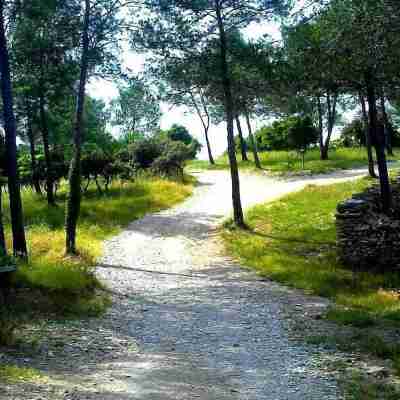 Hotel Le Bois Des Espeisses Others