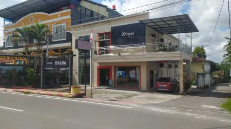 Hotel Diana Отели в г. West Kotawaringin Regency