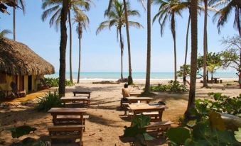 Cabañas Frente a la Playa IV