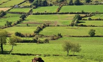 Greenvale Cabins