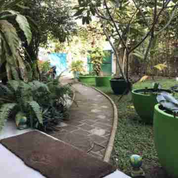 Unawatuna Hostel Honey Packers Hotel Exterior