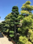 Green Pine House 白井チビッコ広場 주변 호텔