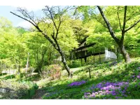 Polar Resort MinamiKaruisawa1 - Vacation Stay 18141V