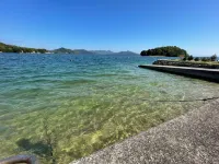 Kakurega