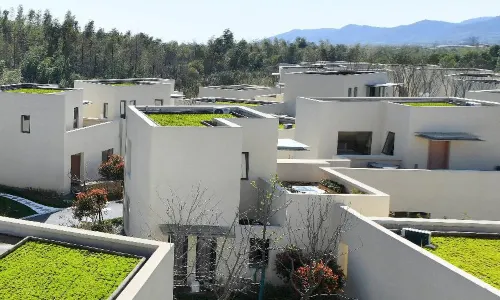 Blossom House Changxing