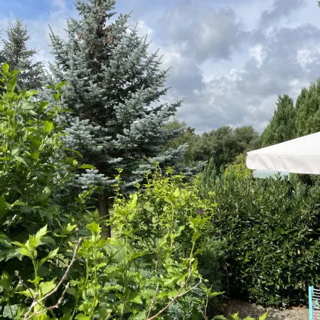 Am Pälitzsee