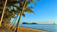 Mango Lagoon Resort & Wellness Spa - Beach