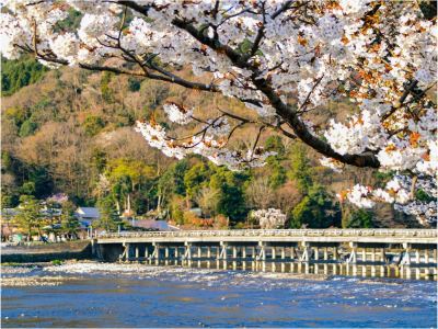 ホテル周辺 サンメンバーズ京都嵯峨の写真