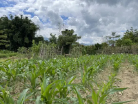 57號姐姐客棧 鄰近牛魚嘴風景區的酒店