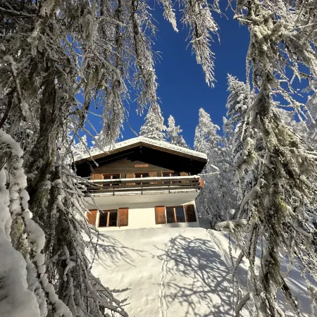Chalet Soldanella (Bel205)