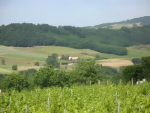 La Ferme du Chapi