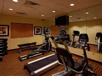 Holiday Inn Express & Suites HUNTSVILLE AIRPORT by IHG - Gym