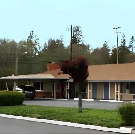 Lark Motel Willits