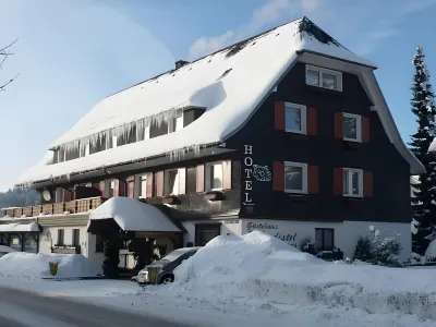 Hotel Silberdistel Hôtels à : Hinterzarten