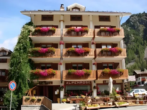 Albergo Alpenrose Ski&Bike Mountain Hotel فنادق في ريفا فالدوبيا