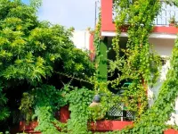 Kishan Home Stay Hotels near Nabha Nangli Wali Dharamshala vrindavan