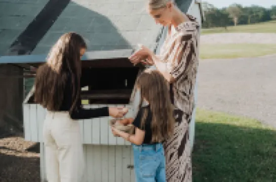 Moraea Farm, Berry - by Linnaeus Collection (Previously Far Meadow Cottage)