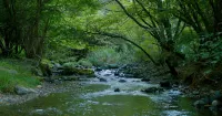 GOAT Hotels in Tsuru