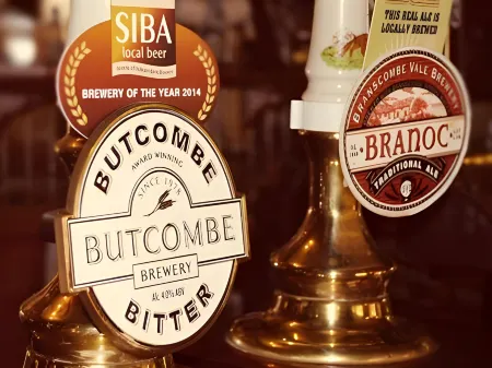 The Old Inn Отели в г. Аксминстер