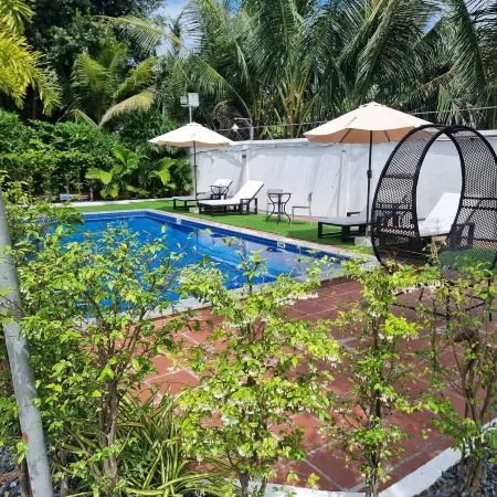 Coconut Paradise Bungalow Kampot