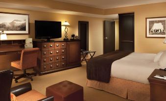 The Park Vista - a DoubleTree by Hilton Hotel - Gatlinburg
