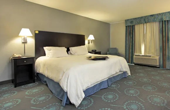 希爾頓歡朋酒店-迪凡斯