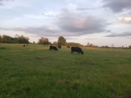 Rustic  ranch retreat with private saltwater pool! Pool closed Nov1-March 30 Отели в г. Cherokee County