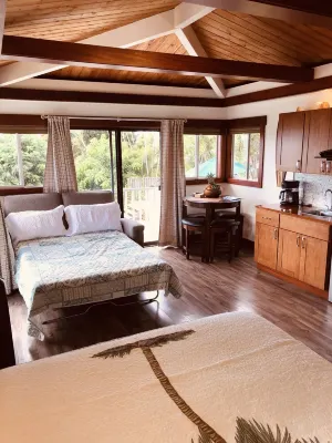 Kona Awesome Tropical PoolCottage/AC/GreatLocation 파인 트리스 서핑 비치 주변 호텔