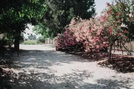 Wine Lovers Retreat Amidst Shenandoah Valley with Pool