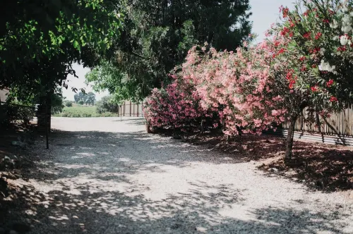 Wine Lovers Retreat Amidst Shenandoah Valley with Pool