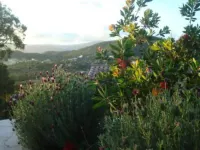 houses / villas - 3 rooms - 4/5 persons