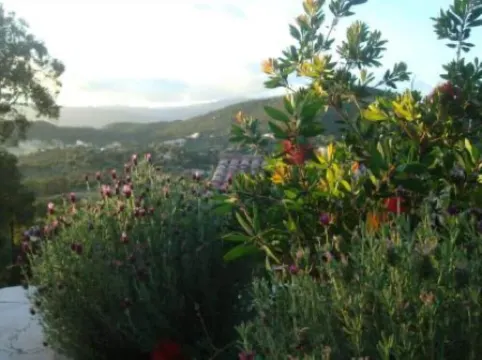 houses / villas - 3 rooms - 4/5 persons