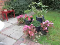 Bright charming apartment with garden, terrace, WLAN