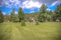 Visit #mytreetophideaway located in Banner Elk, NC, nestled high in the trees.