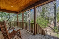 Cozy Mountain Top Cabin 13 Acres Near Dupont State Forest-Pet Friendly-Wifi- EV