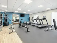 Hampton Inn by Hilton Odessa Trinity Hotels in Pasco County