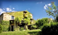 Beautiful historic 7-bedroom Villa on organic olive farm, pool & sunset views