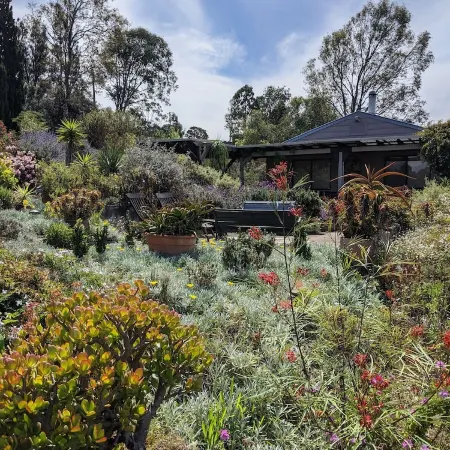 Valley View Cottage & Acres Hunter Valley Wine Region Отели в г. Лавдейл