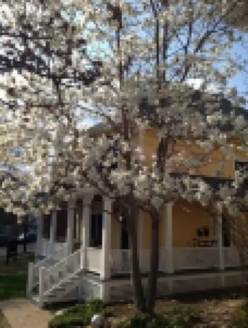 COMFORT and CHARM - Stay in St. Paul's FAVORITE rental in historic Summit Hill!