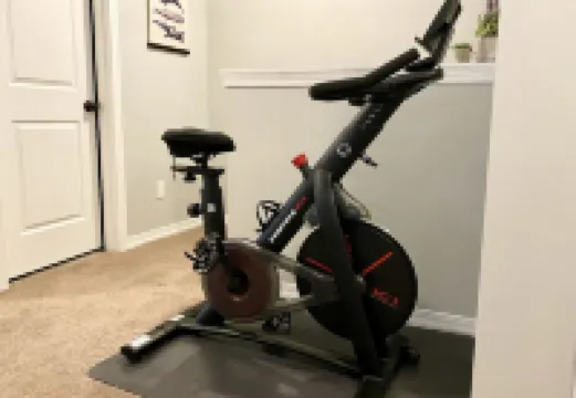 The Sizzl-INN' Seagull