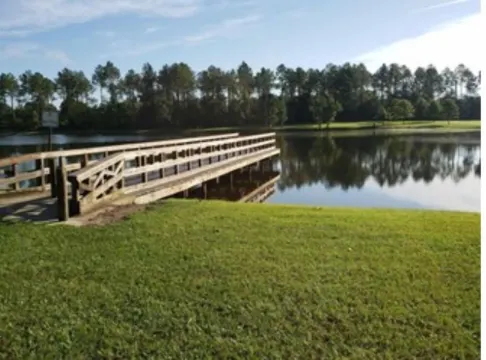 Cassidy's Entire House for Six