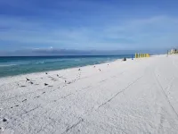 Stunning 11th floor Ocean/Golf views, Resort, Wifi