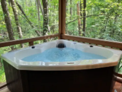 Quiet cabin in the woods, only 10 min from downtown Helen