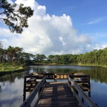 Beachfront, indoor/outdoor pools. Best view on Gulf Coast! NO FEES OF ANY TYPE.