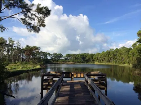 Beachfront, indoor/outdoor pools. Best view on Gulf Coast! NO FEES OF ANY TYPE.