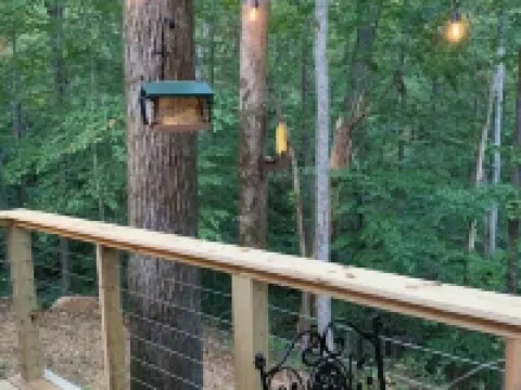 Critter Cottage at Coops Creek Cabins Hotels in Dunlap