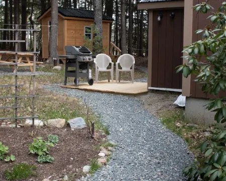 Peaceful Basement Apartment among serene woods, paths, and a stream near Acadia Hotels in Mt Desert