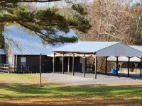 8. Beautiful secluded creek front lodge sleeps 19